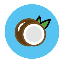 Coconut allergen icon/